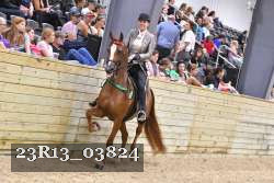 23R13_03824 thumbnail