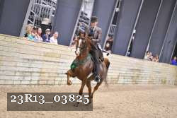 23R13_03825 thumbnail