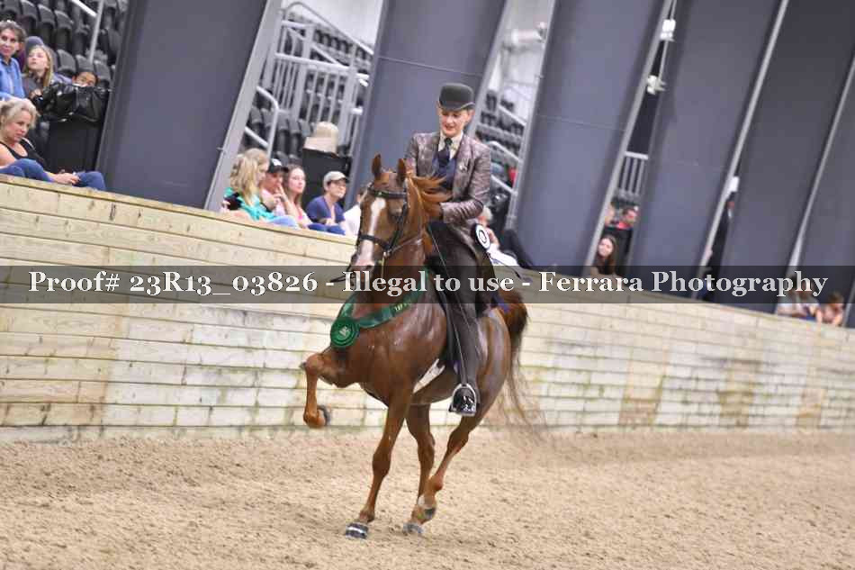 Proof Number 23R13_03826