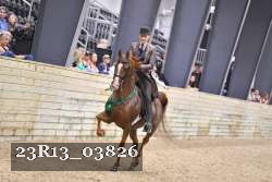 23R13_03826 thumbnail