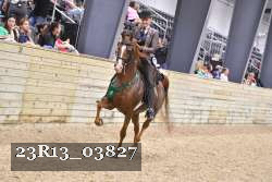 23R13_03827 thumbnail