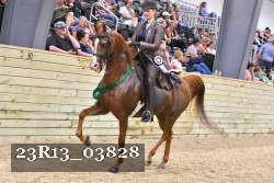 23R13_03828 thumbnail
