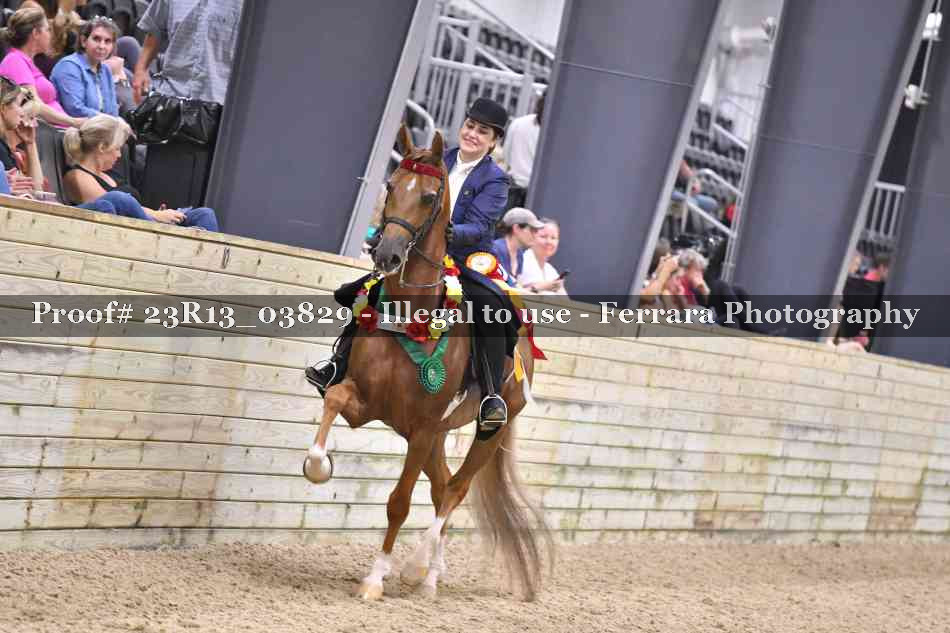 Proof Number 23R13_03829