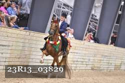 23R13_03829 thumbnail