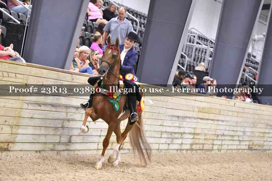 Proof Number 23R13_03830