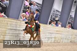23R13_03830 thumbnail