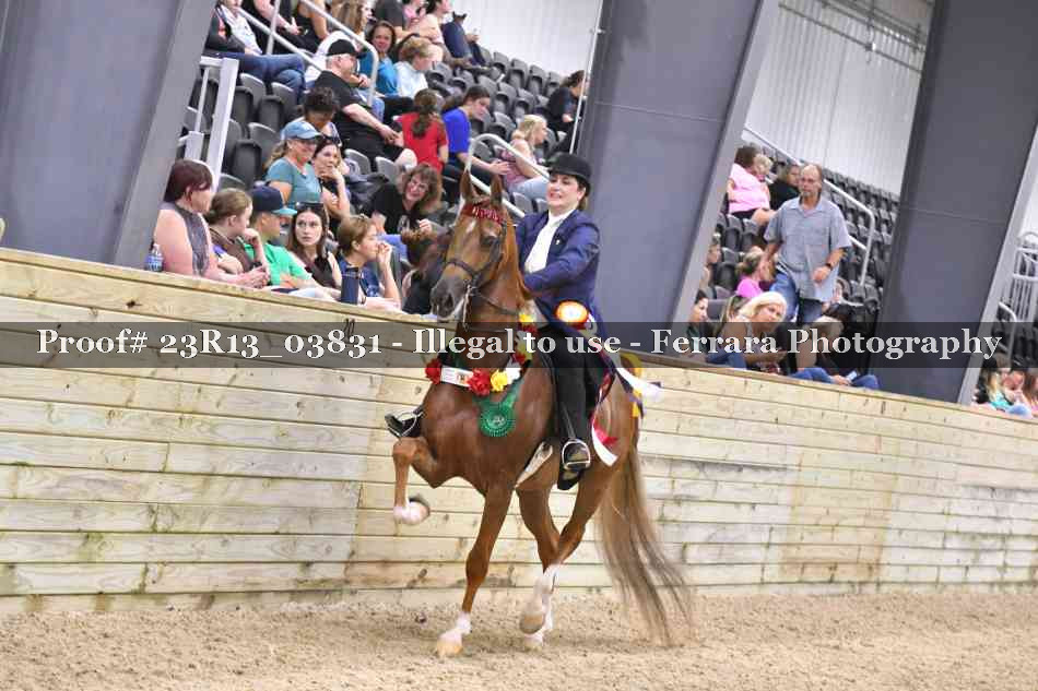 Proof Number 23R13_03831