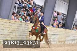 23R13_03831 thumbnail