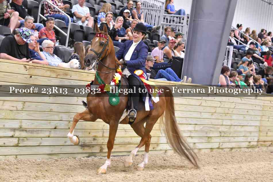 Proof Number 23R13_03832