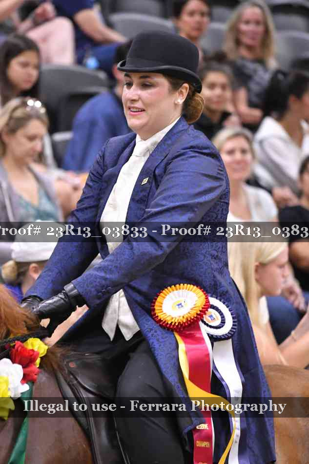 Proof Number 23R13_03833
