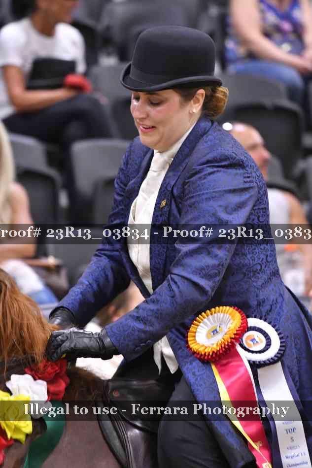 Proof Number 23R13_03834