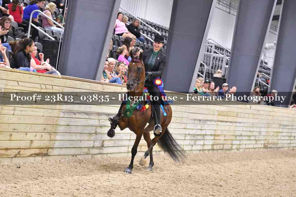 Proof Number 23R13_03835