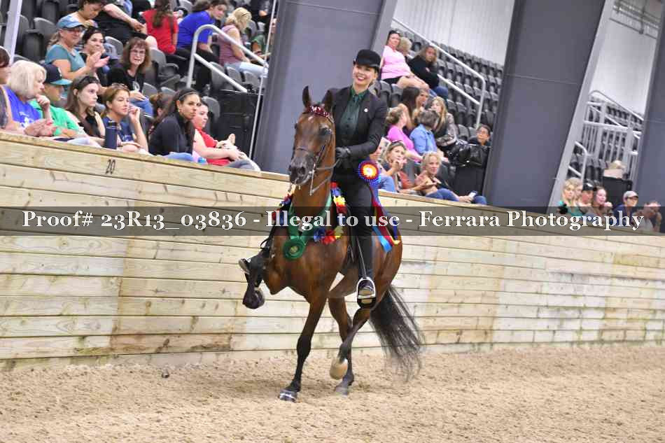 Proof Number 23R13_03836
