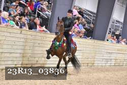 23R13_03836 thumbnail