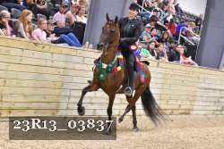 23R13_03837 thumbnail