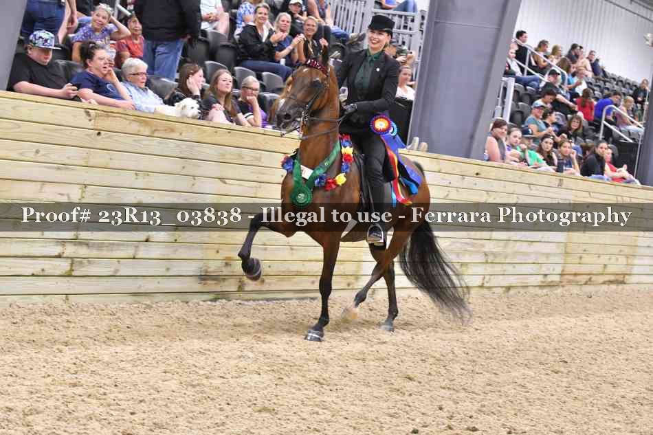 Proof Number 23R13_03838