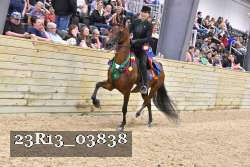 23R13_03838 thumbnail