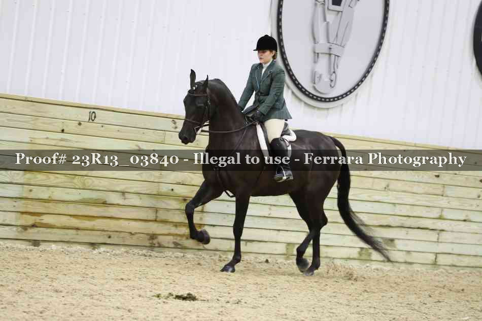 Proof Number 23R13_03840