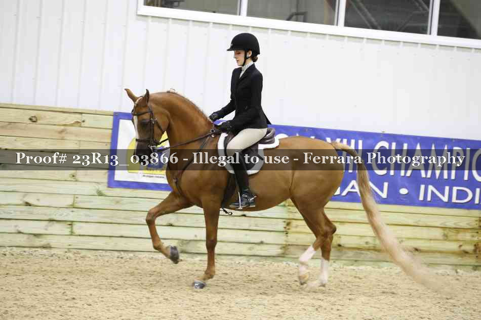 Proof Number 23R13_03866