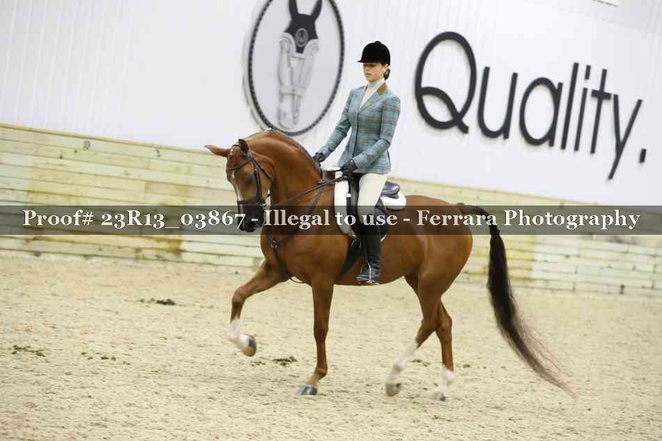 Proof Number 23R13_03867