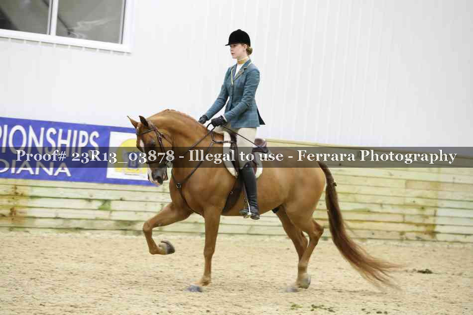Proof Number 23R13_03878