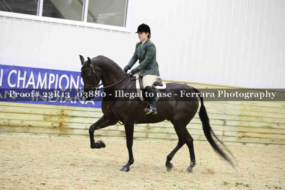 Proof Number 23R13_03880