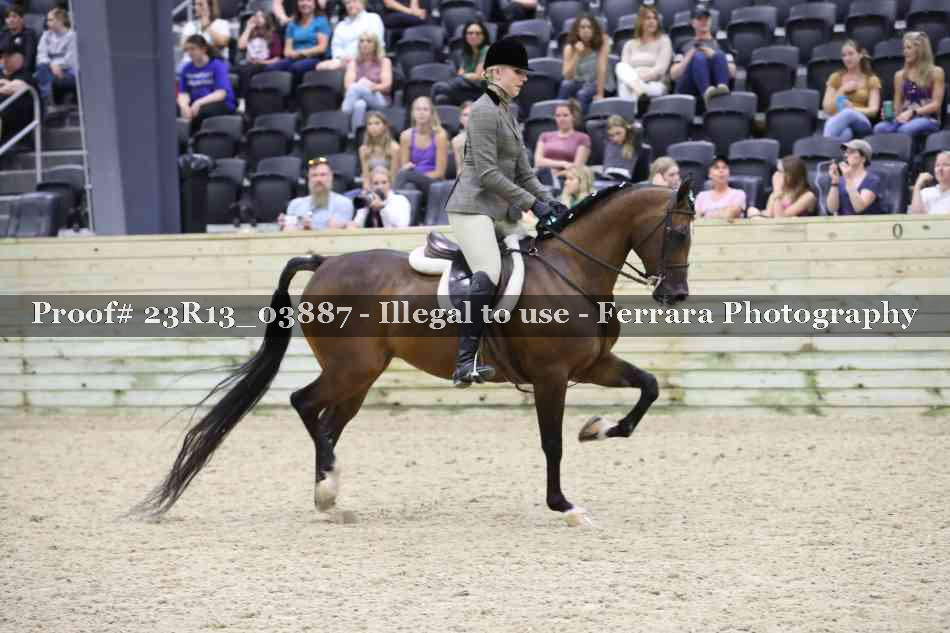 Proof Number 23R13_03887
