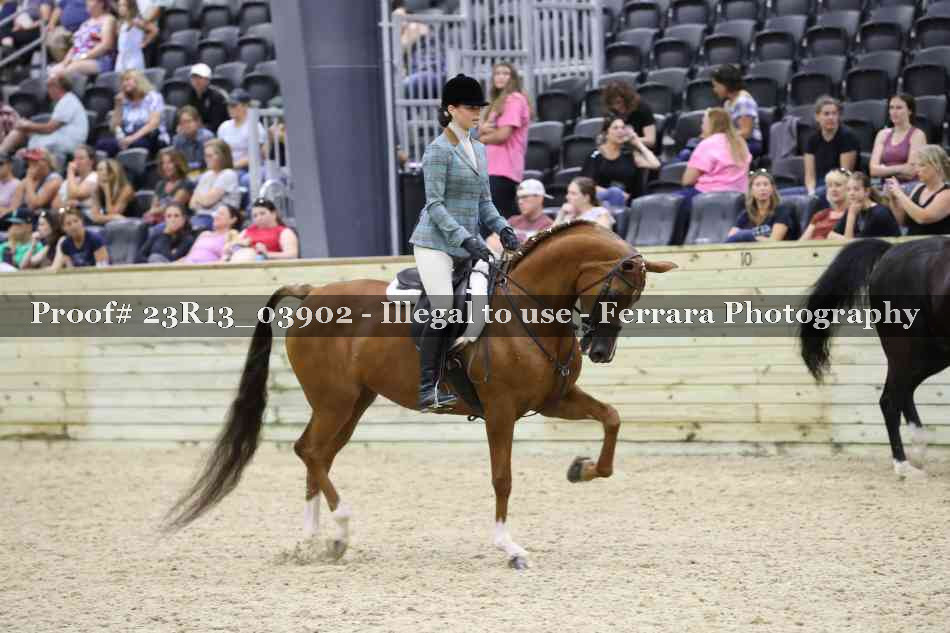 Proof Number 23R13_03902