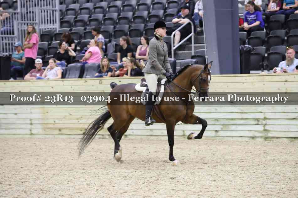 Proof Number 23R13_03904