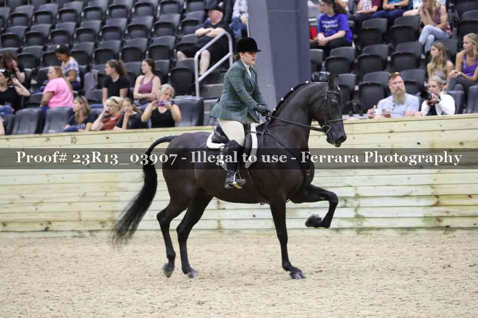 Proof Number 23R13_03907