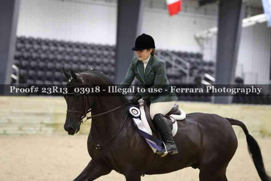Proof Number 23R13_03918
