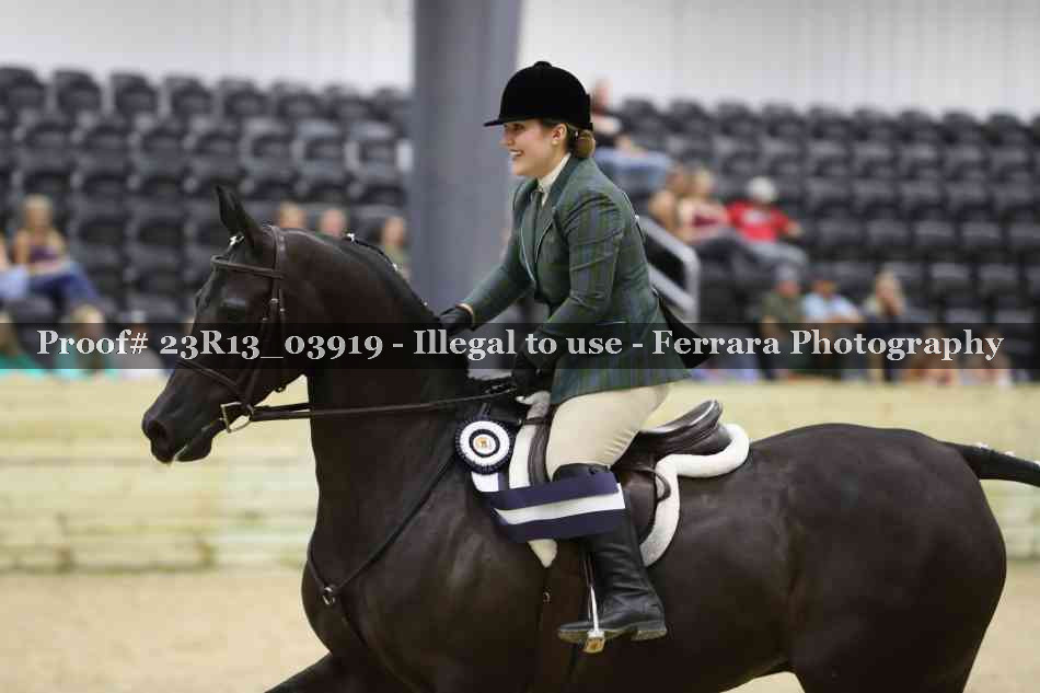 Proof Number 23R13_03919