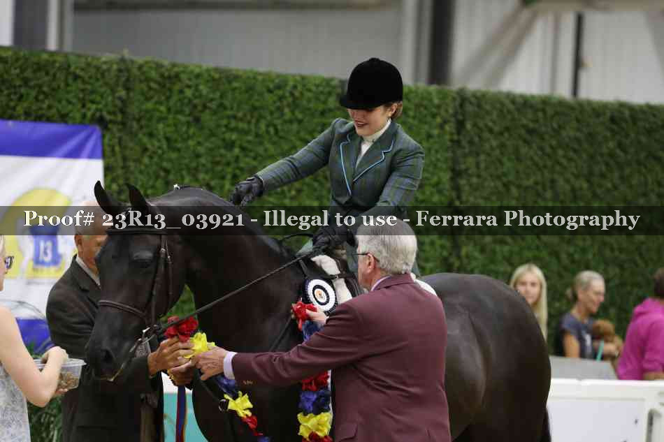 Proof Number 23R13_03921