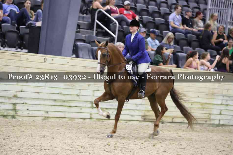 Proof Number 23R13_03932
