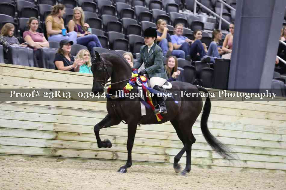 Proof Number 23R13_03944
