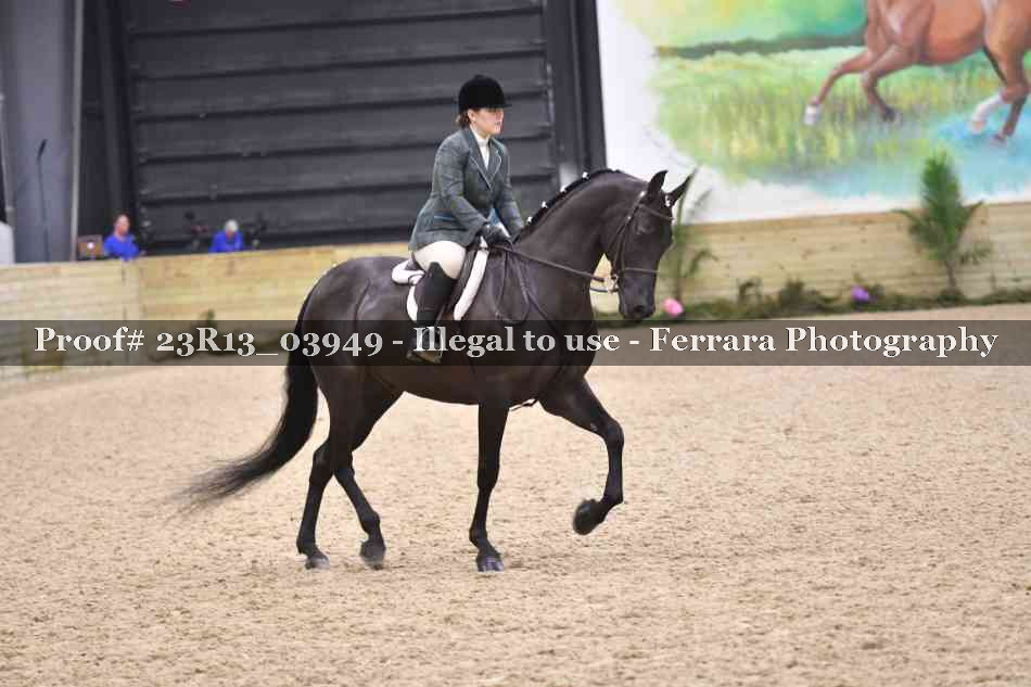 Proof Number 23R13_03949