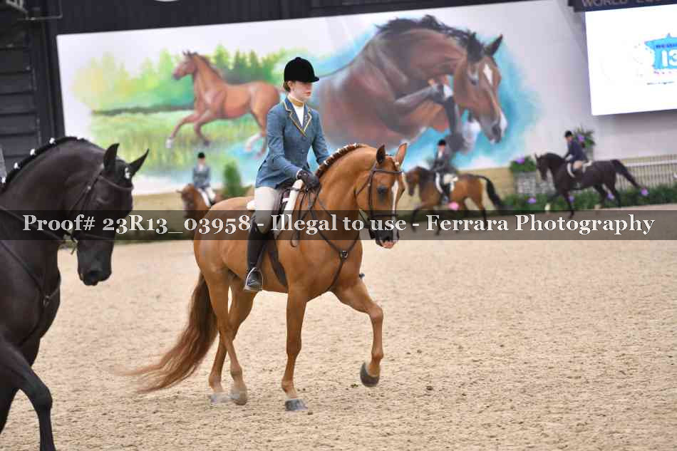 Proof Number 23R13_03958
