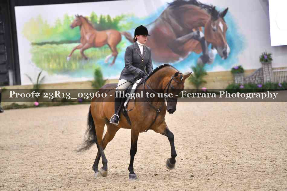 Proof Number 23R13_03960