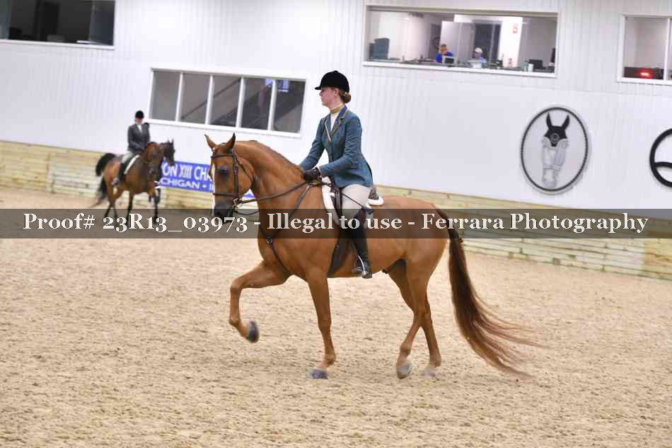 Proof Number 23R13_03973