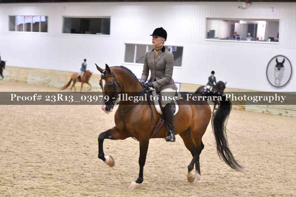 Proof Number 23R13_03979