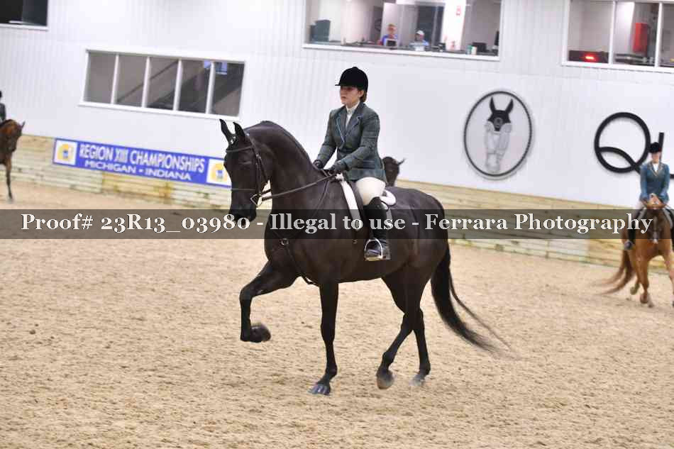 Proof Number 23R13_03980