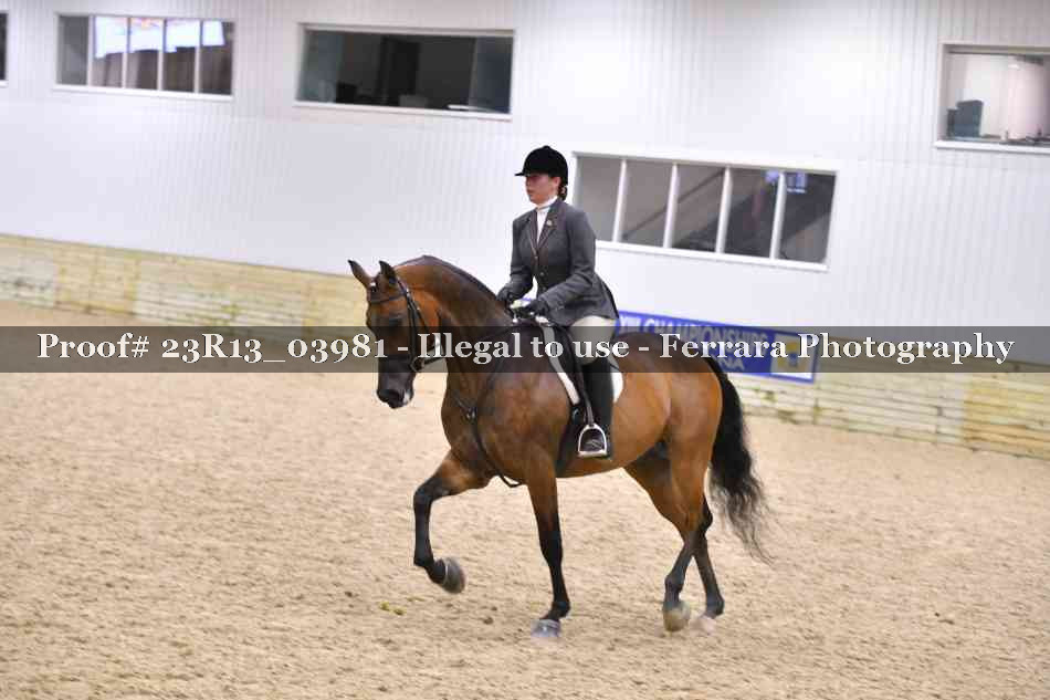 Proof Number 23R13_03981