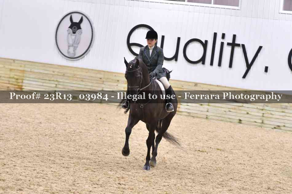 Proof Number 23R13_03984