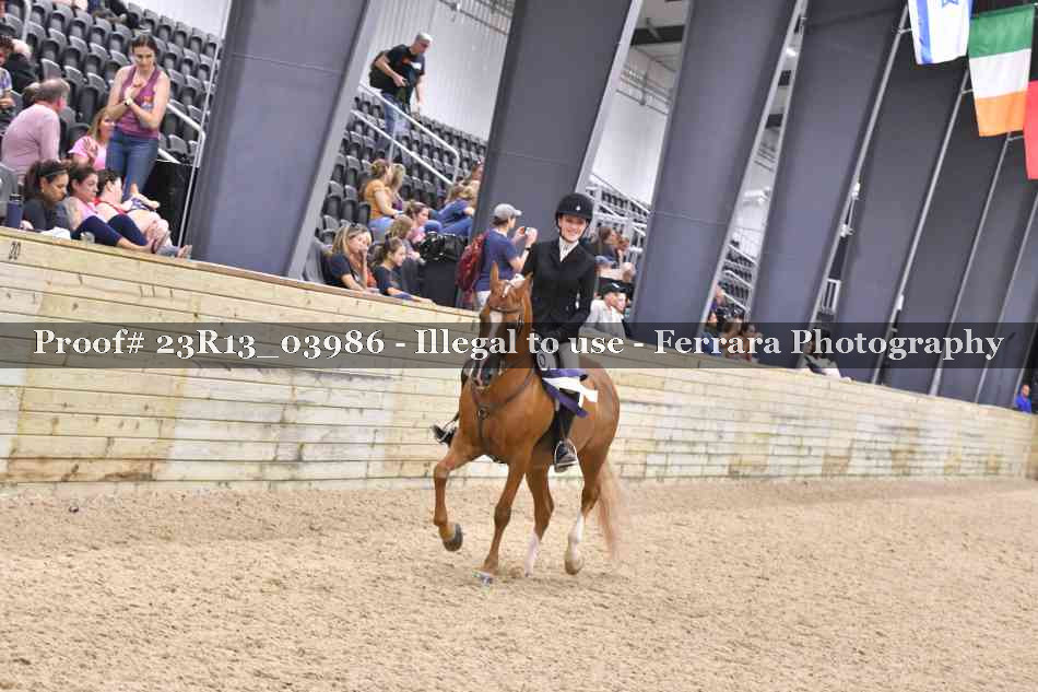 Proof Number 23R13_03986