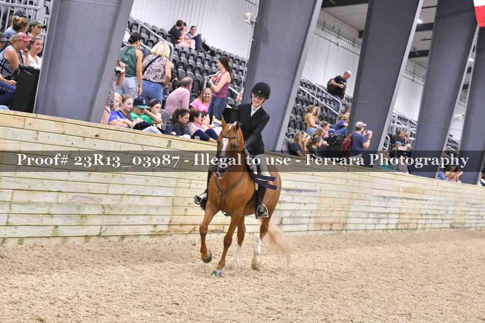 Proof Number 23R13_03987