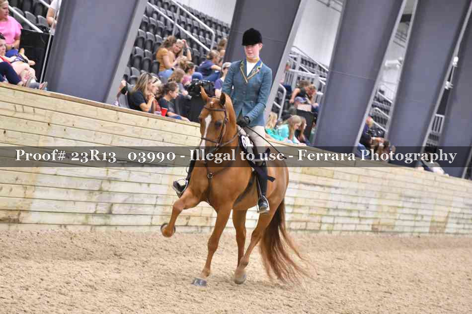 Proof Number 23R13_03990