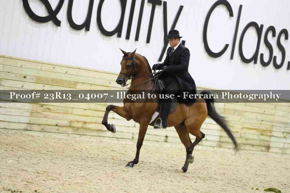 Proof Number 23R13_04007