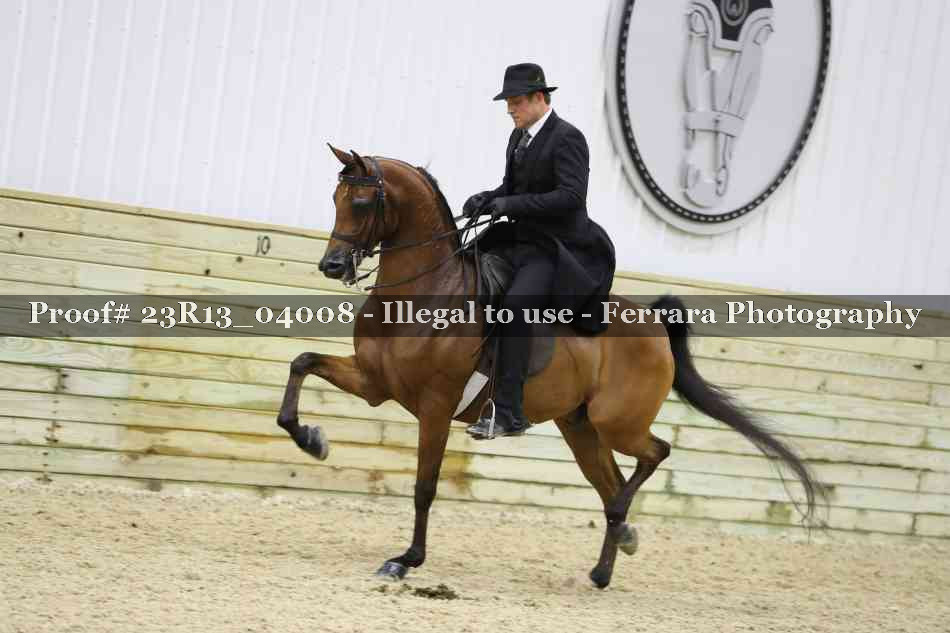 Proof Number 23R13_04008