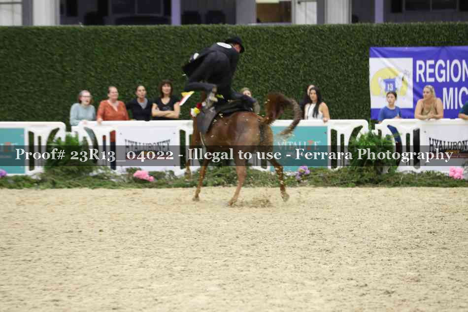 Proof Number 23R13_04022