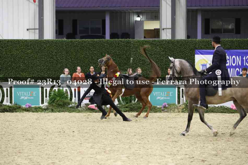 Proof Number 23R13_04028